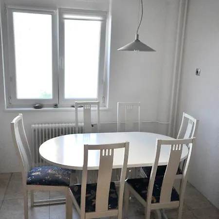 Spacious Center Apartman Ljubljana
